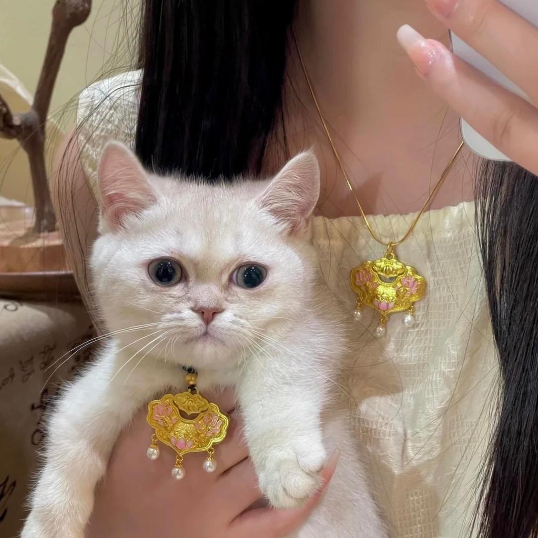 多啦a梦