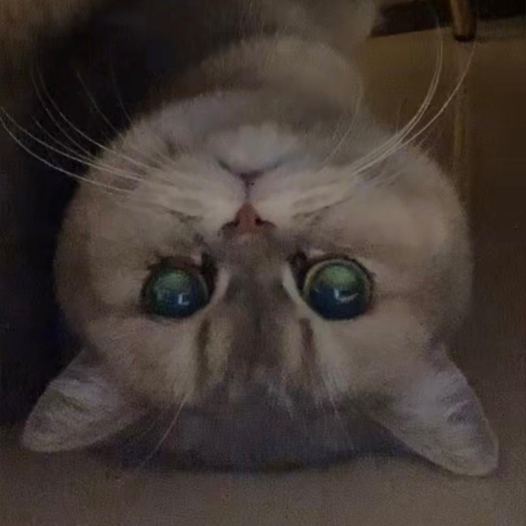 718