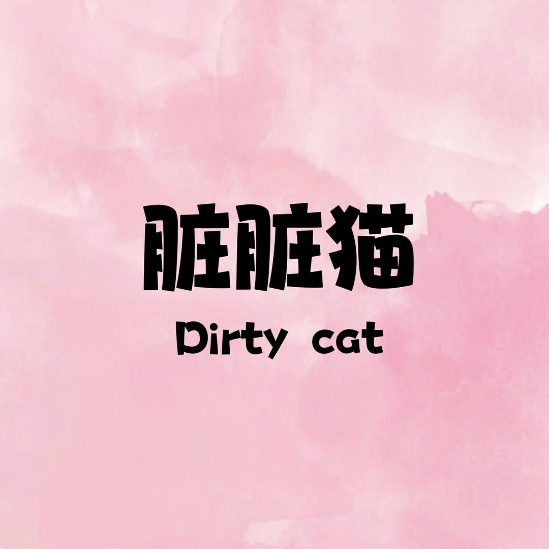 脏脏猫穿戴甲胶