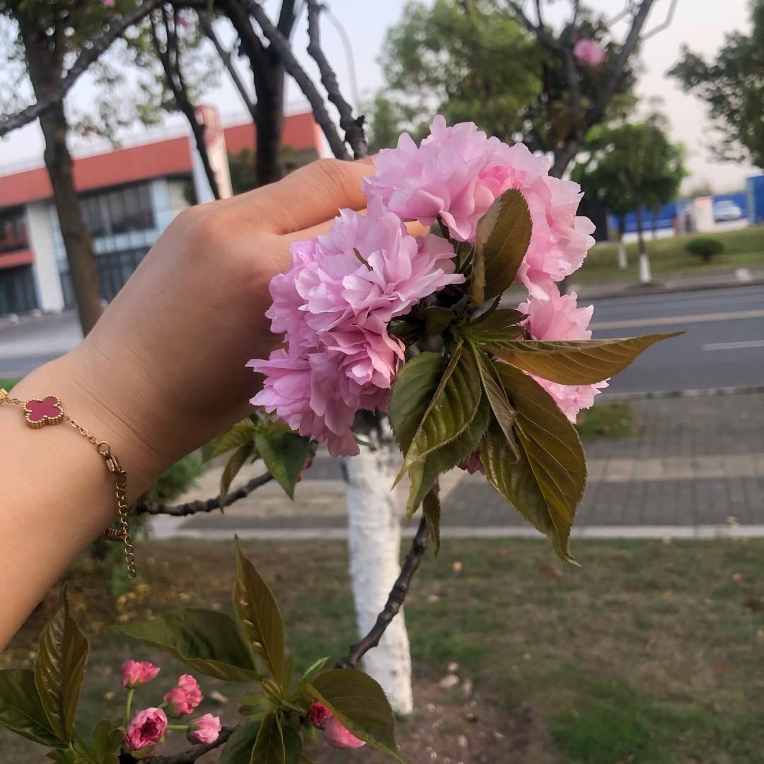 冬夜呢喃👓