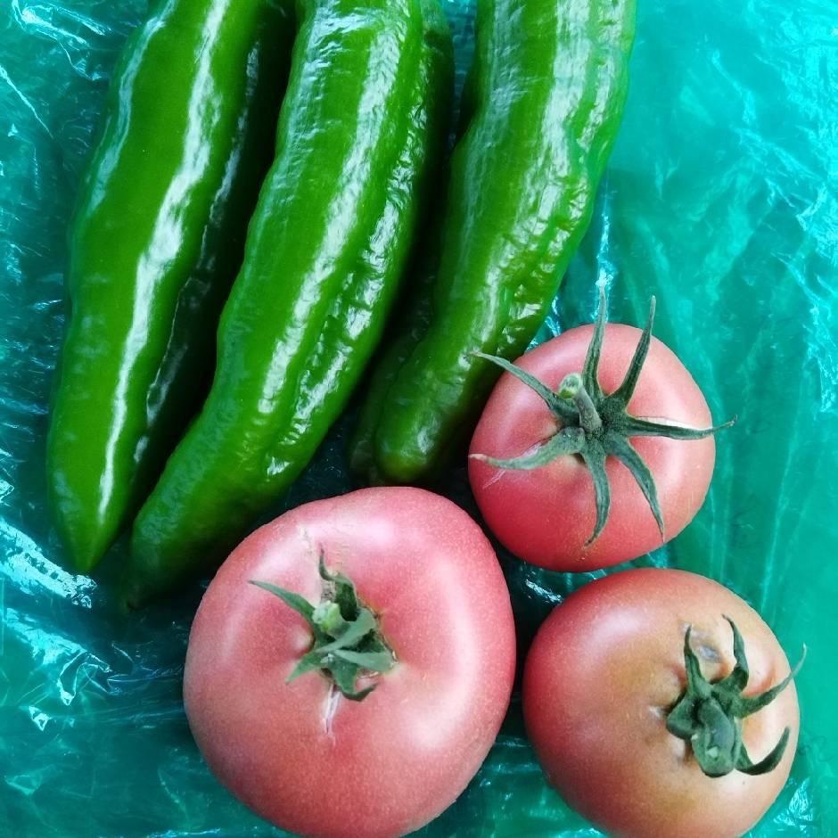 东台旺久蔬菜专业合作社