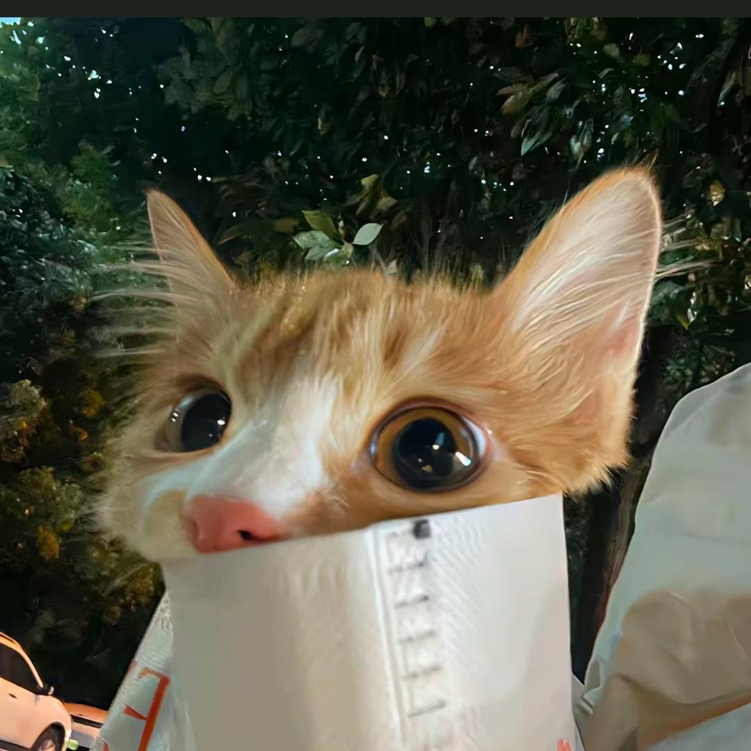 一一潮玩汇