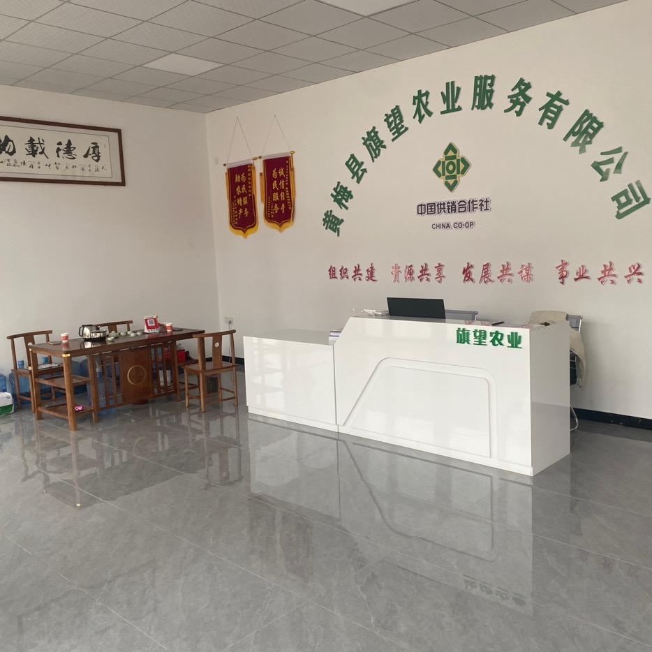 A旗望农业  柳军