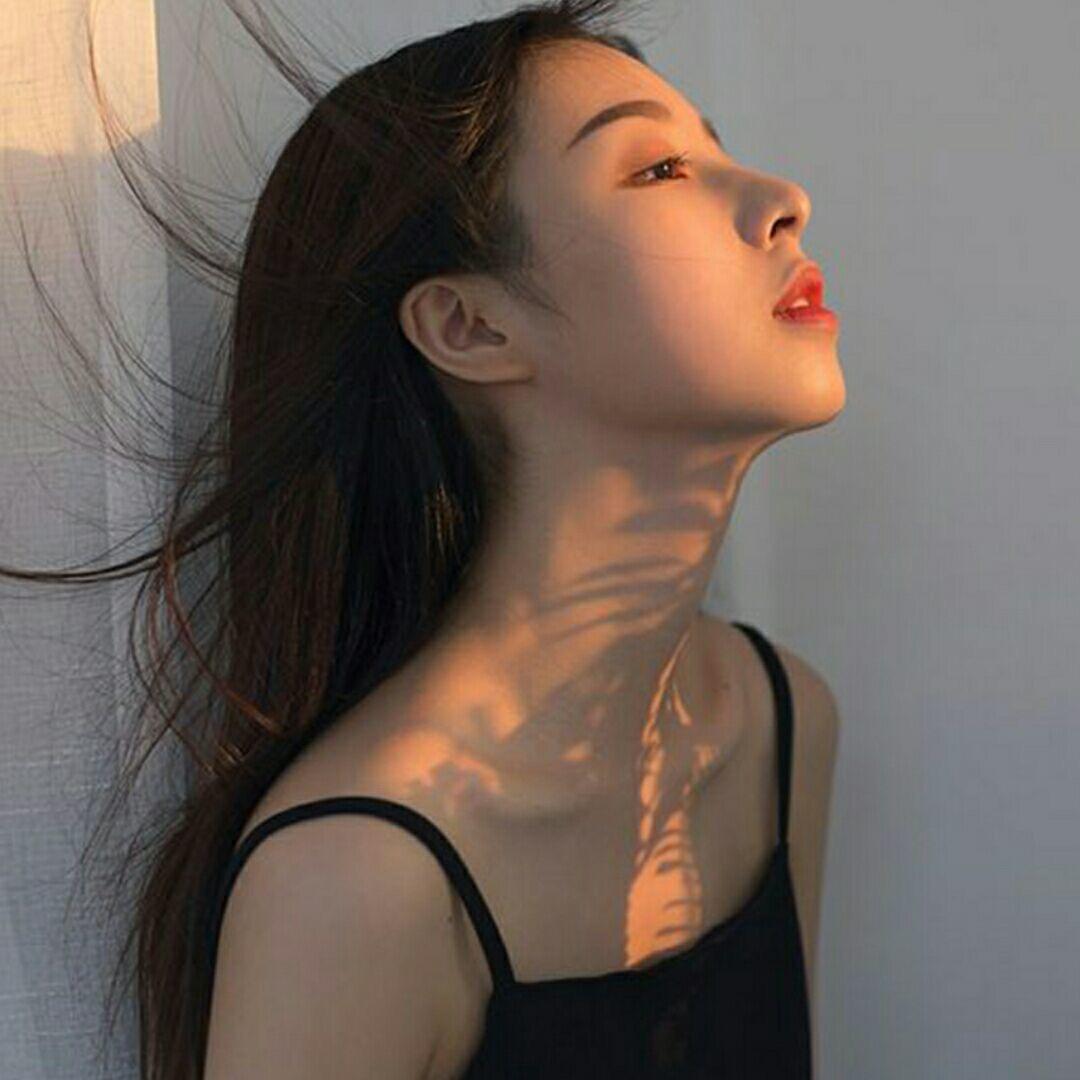 🌻一只懒羊