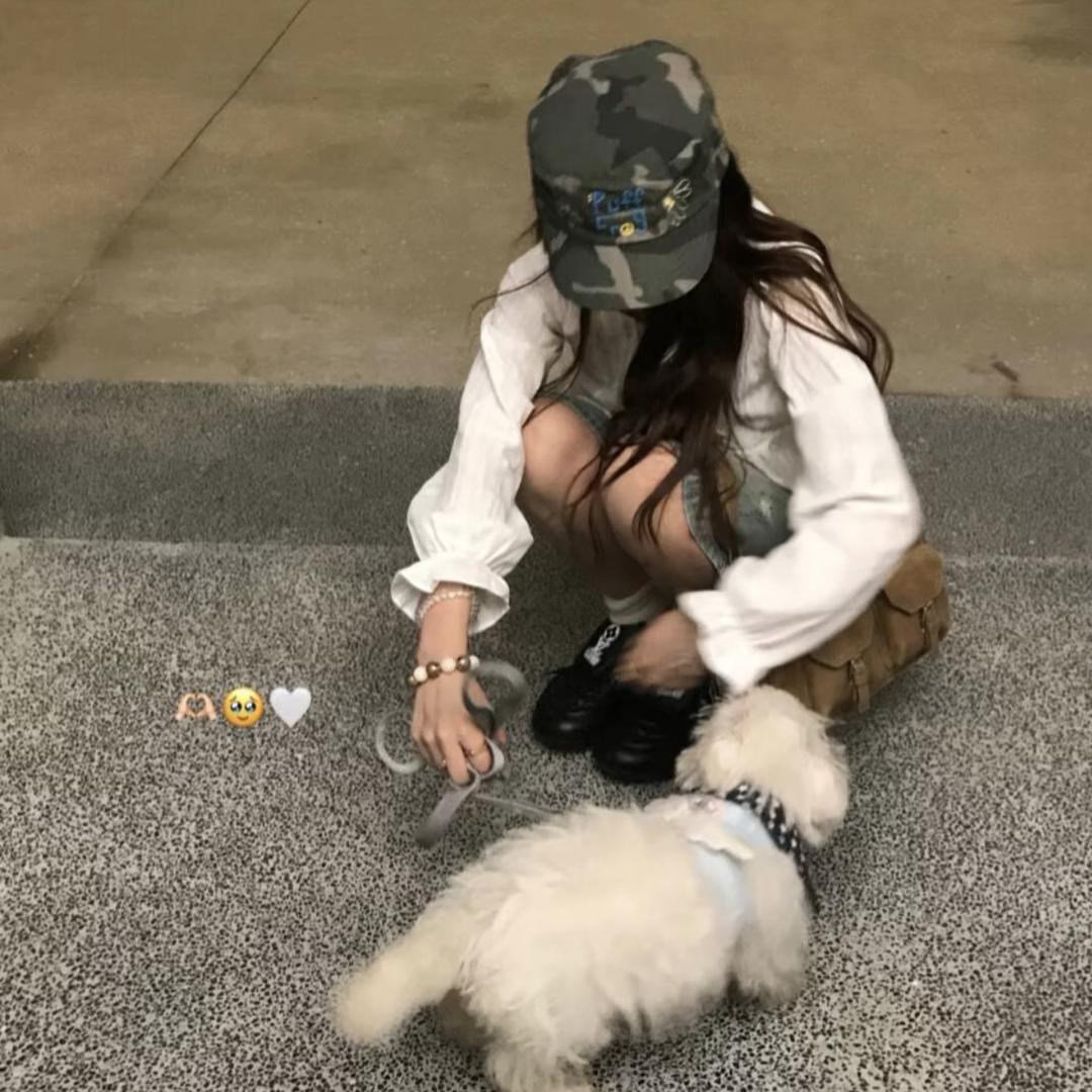 猜菜籽呵