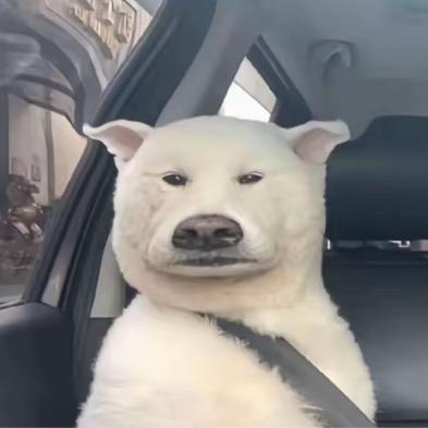 爱咋咋地滴
