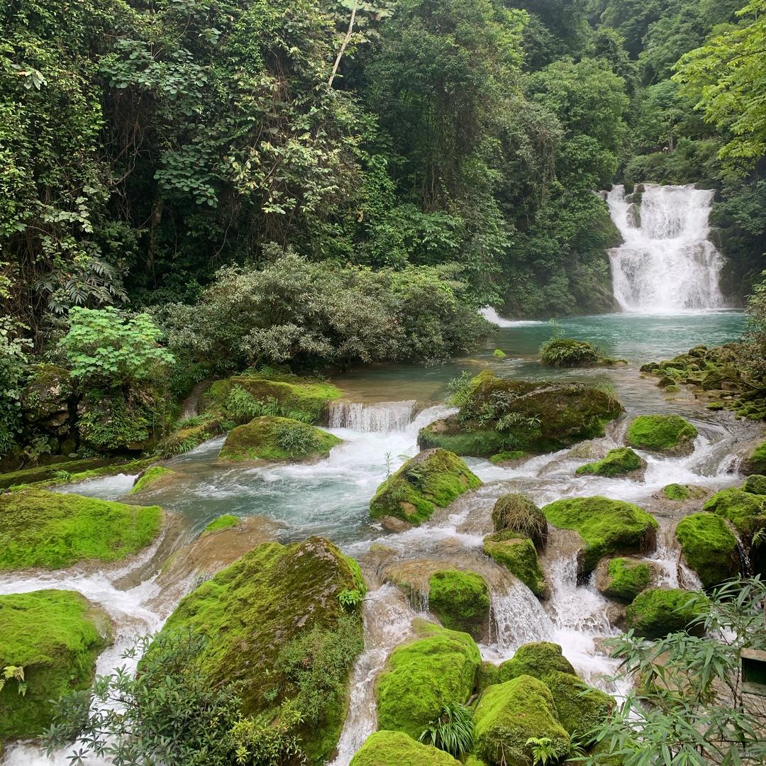 招财靳宝🍒🍒
