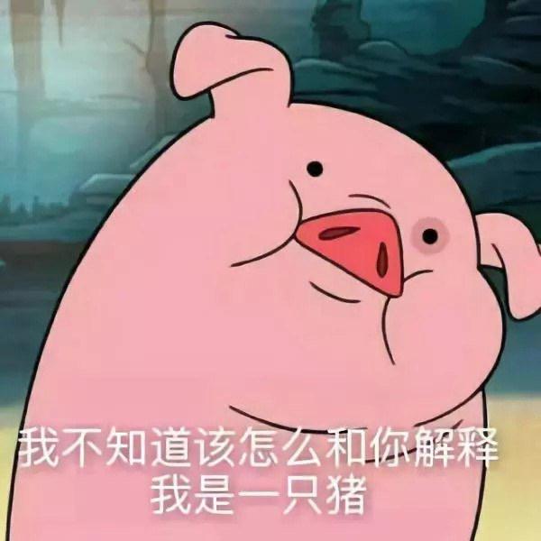 河晓冬冬