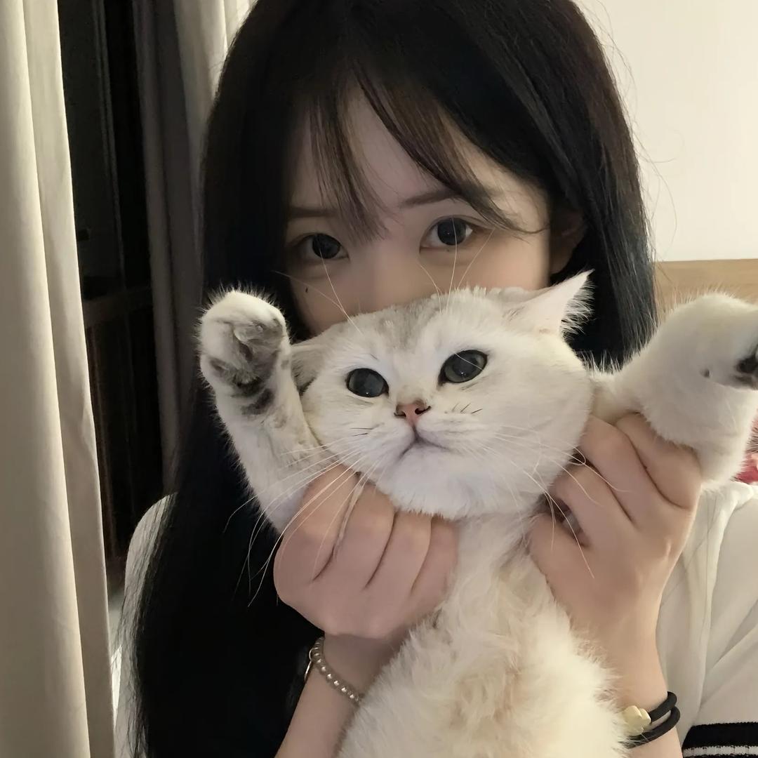猫咪🐈