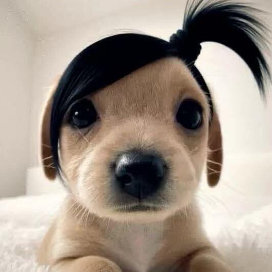绊.