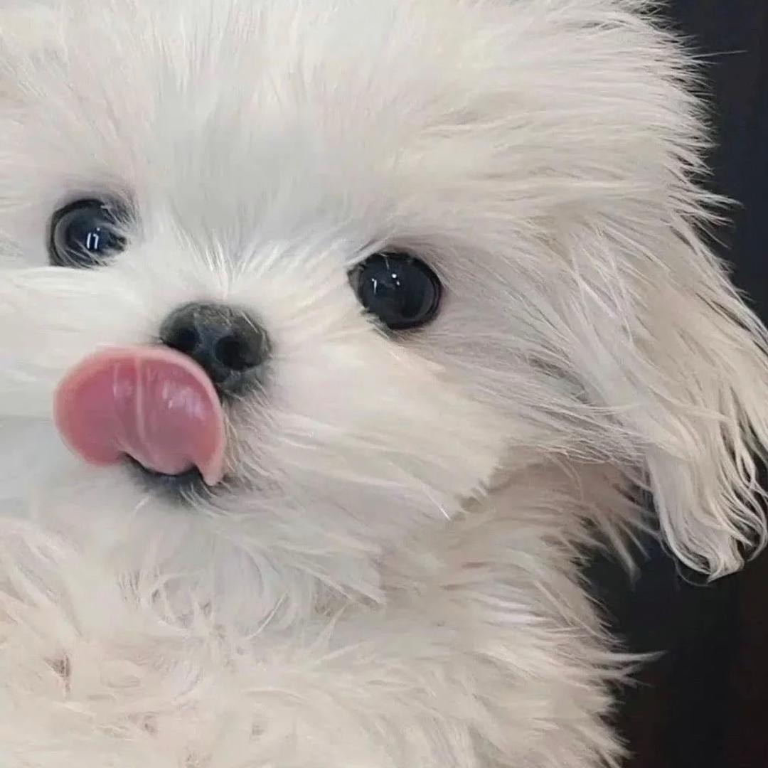 小琳coco