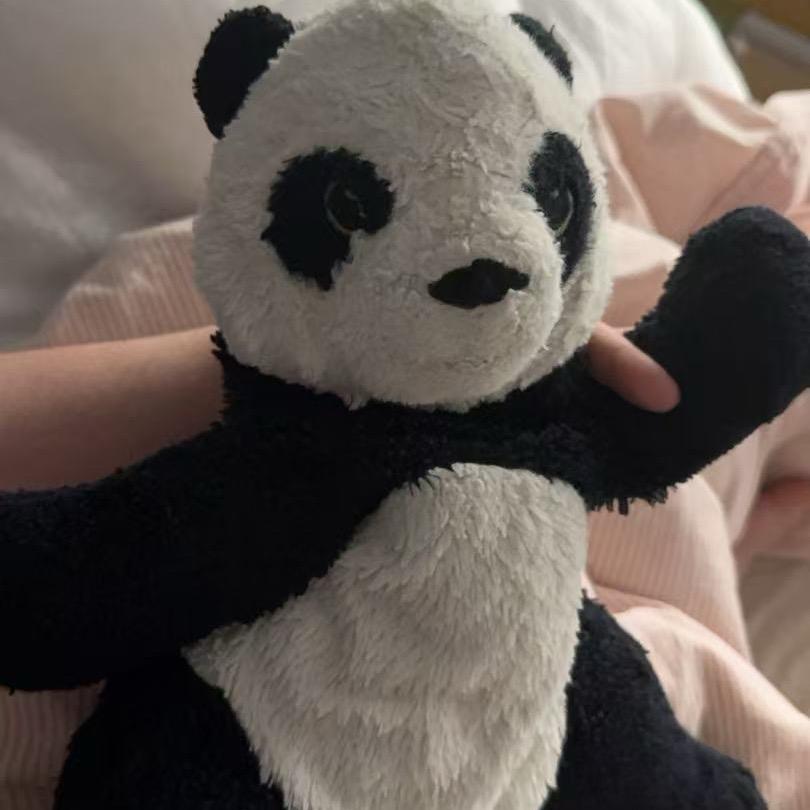 邪恶熊猫🐼