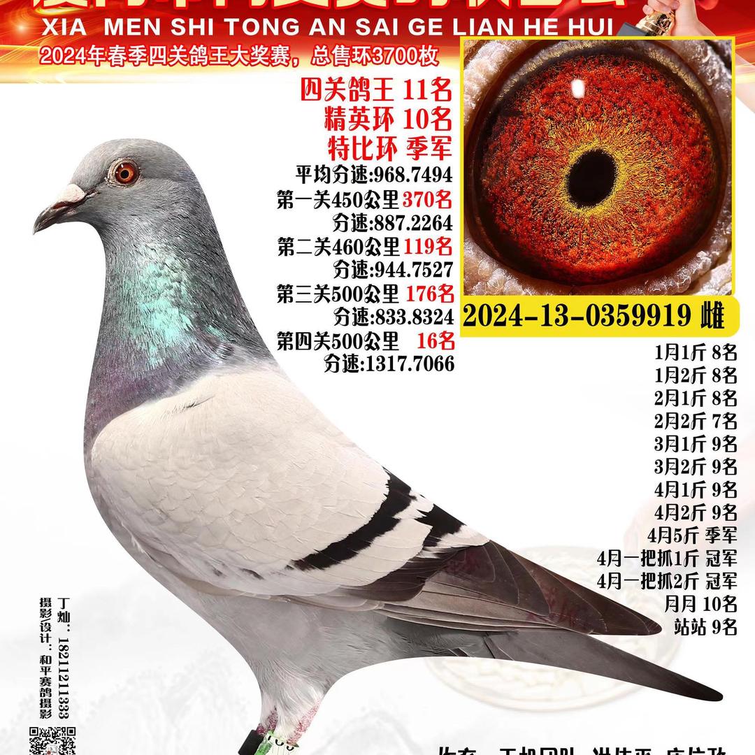 福建锦鸿鸽业