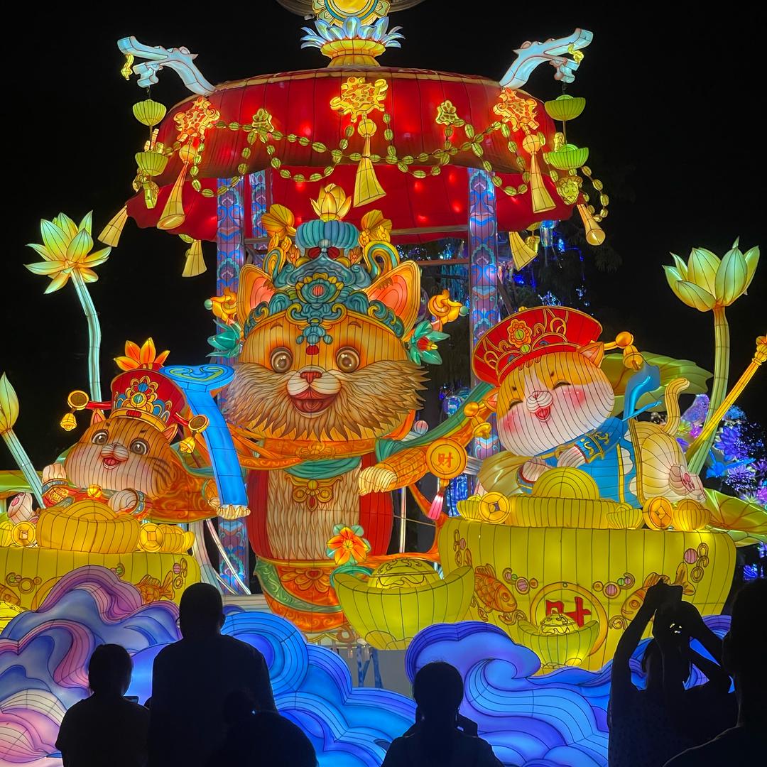 家穷人丑🍒低保我有