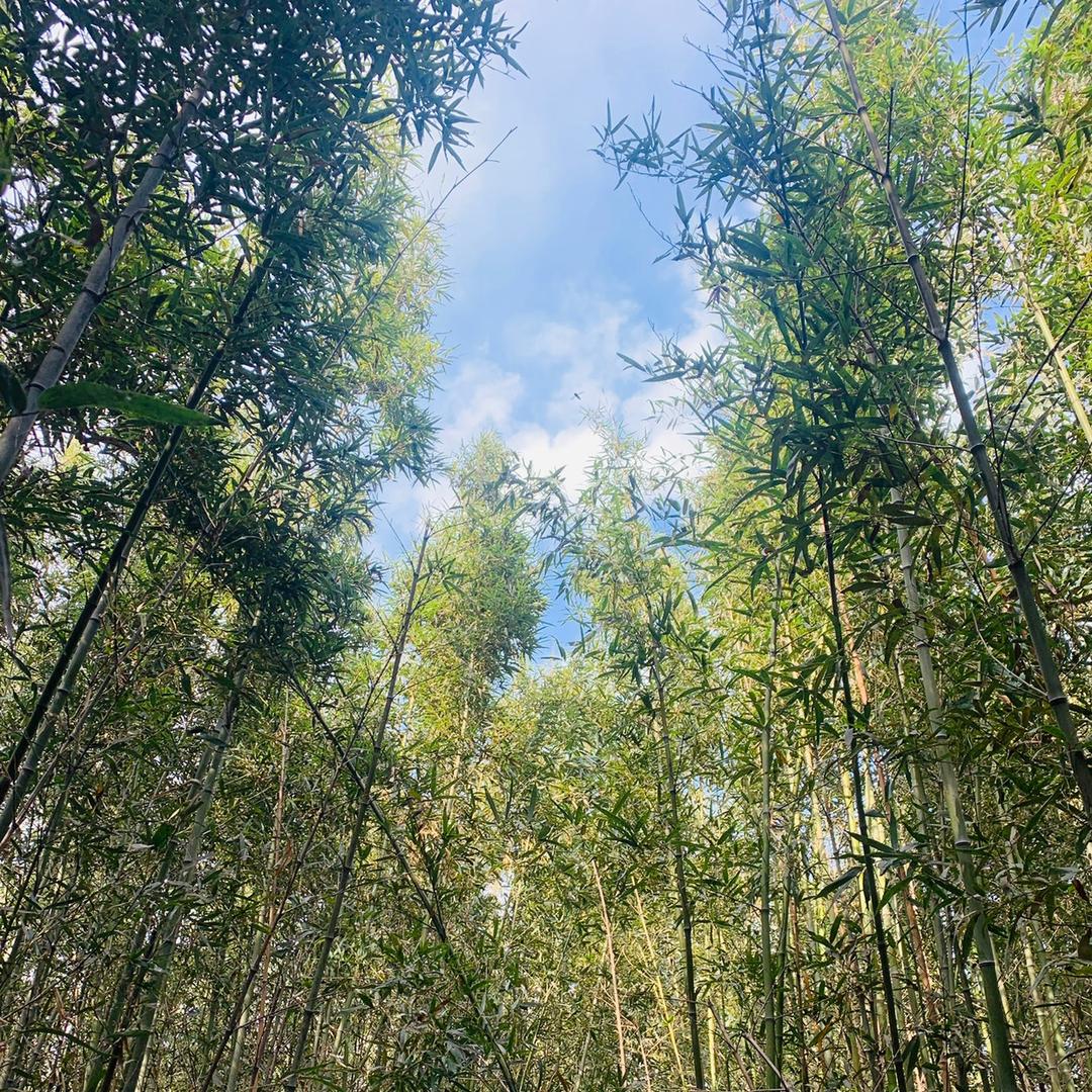 越了解，越敬畏