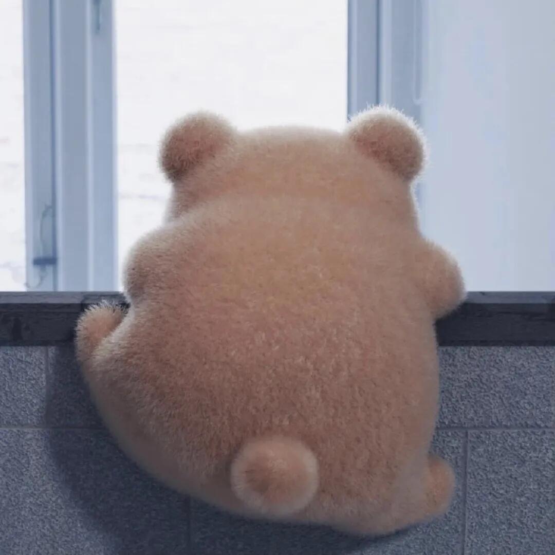 ღ猫南北
