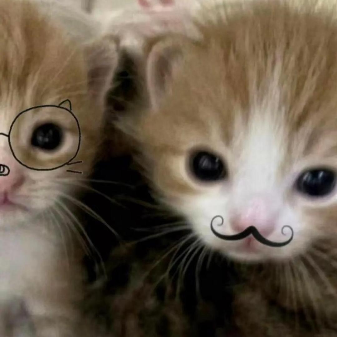 mm          　　　　 　➰