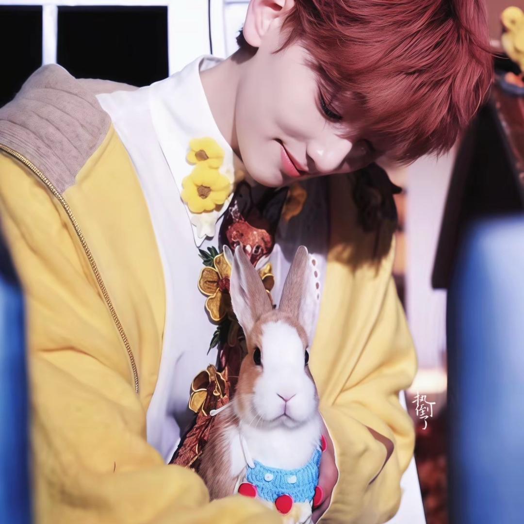 ˗ˋˏ ✿ ˎˊ˗苏