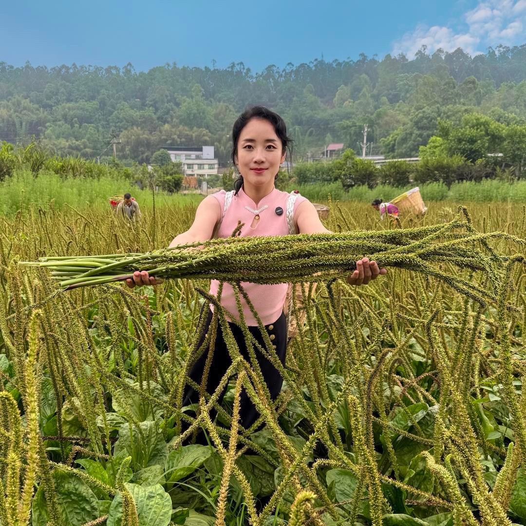 但可
