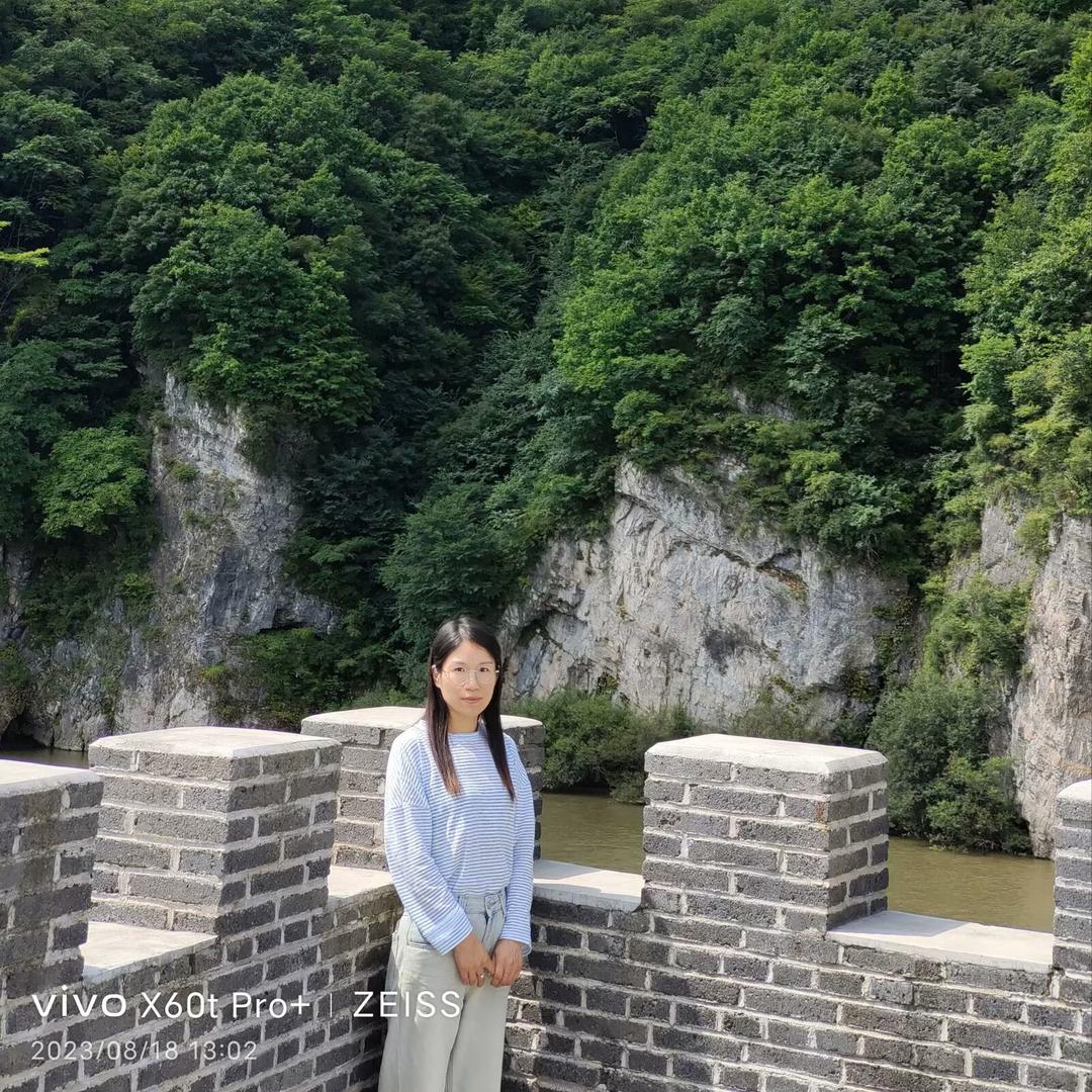 杨莹园长爱教学