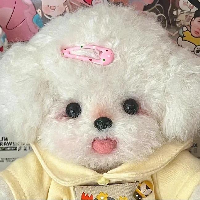 汪汪好物
