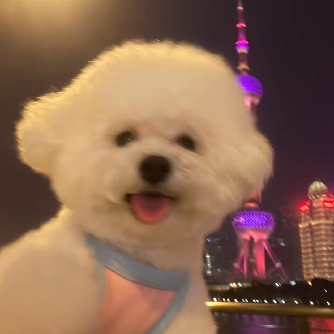 努力大王