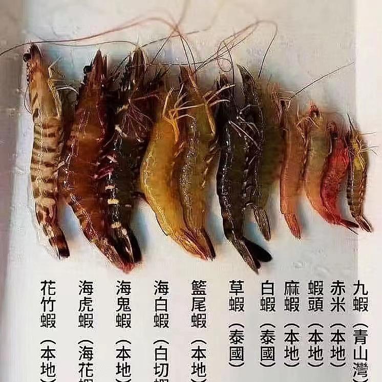 福建虾搞搞海鲜