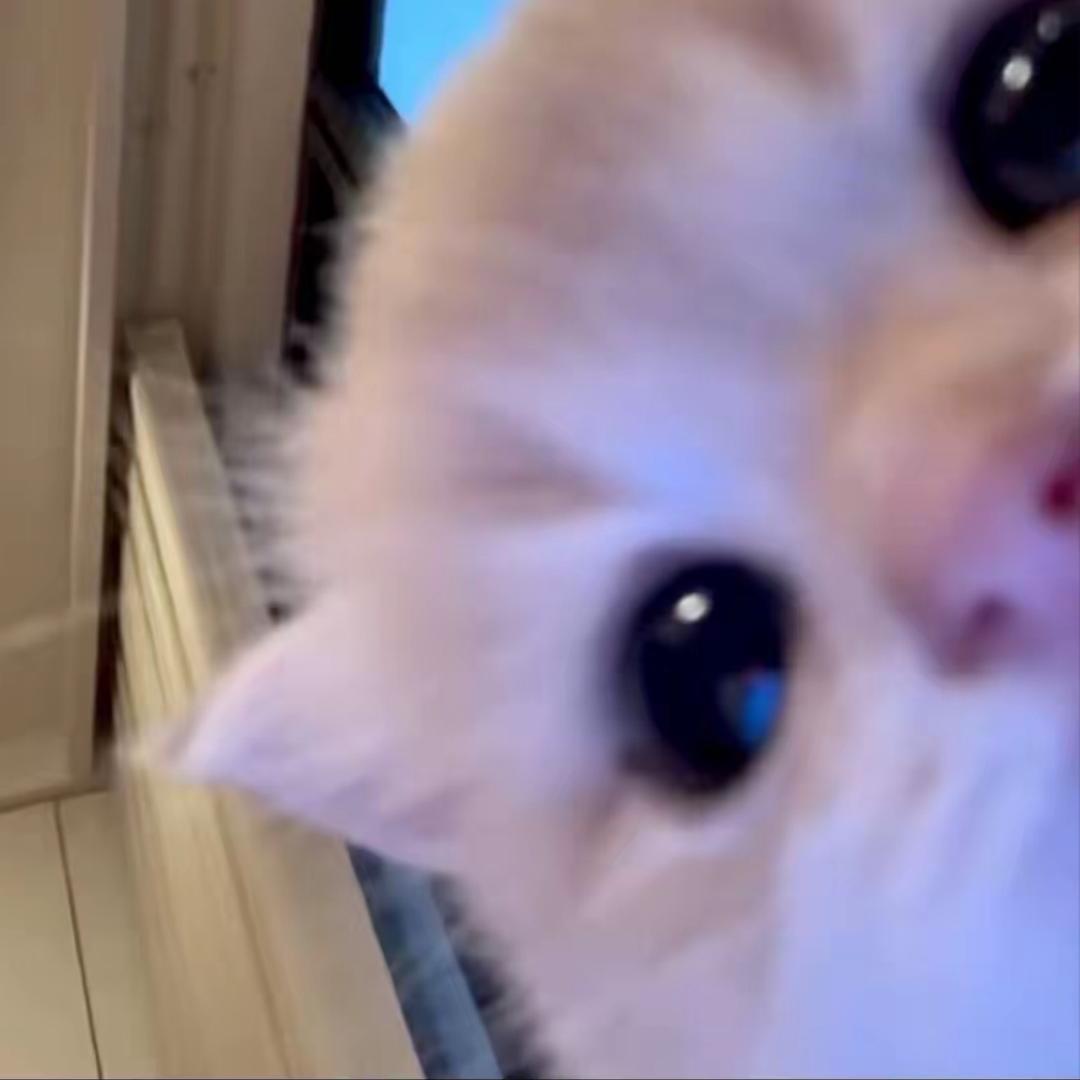 iiiixx.