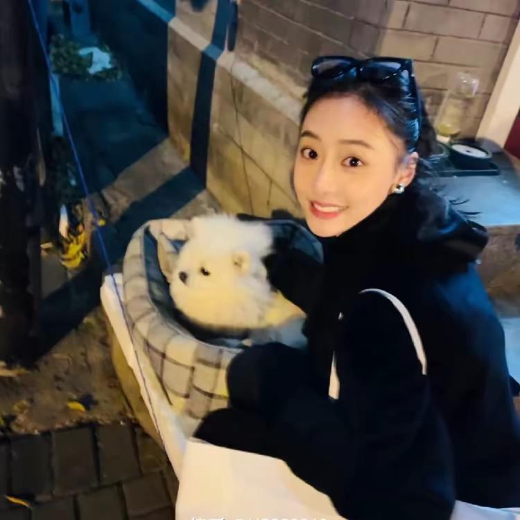 情 、