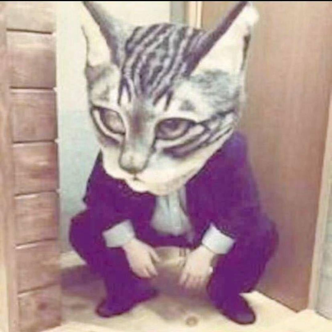 何方小仙.