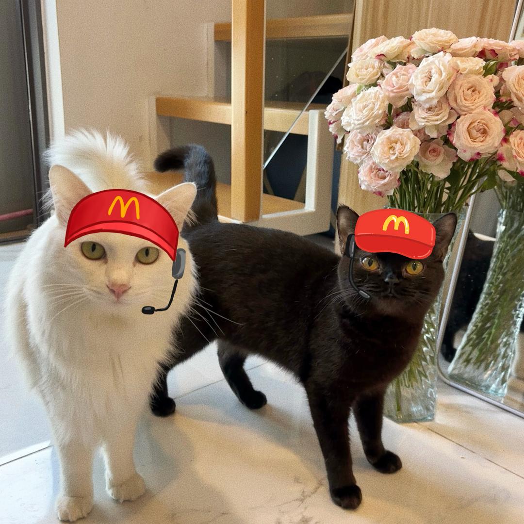 我有两只咪咪宝