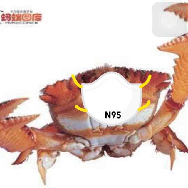 螃蟹🦀️