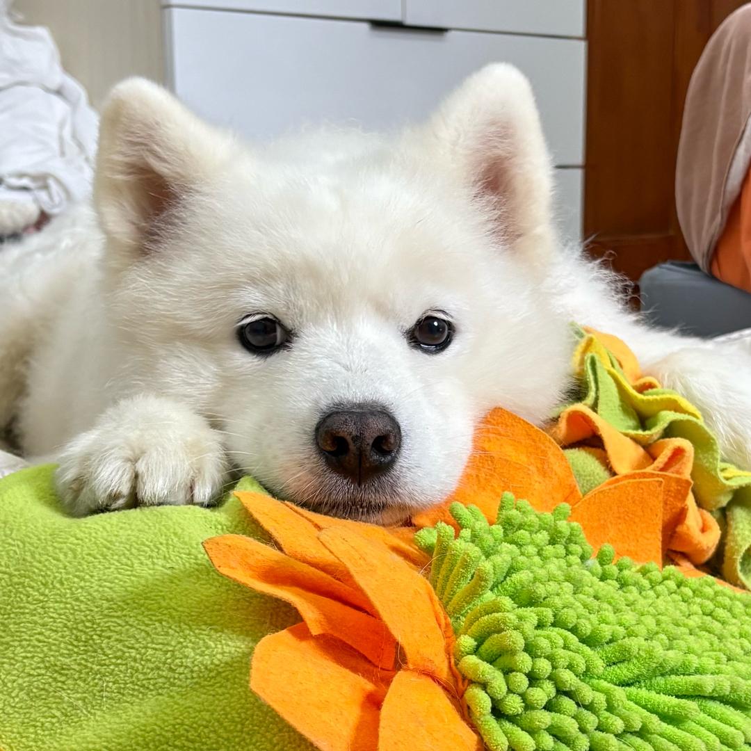 爱新觉罗氏lucky（农村版）