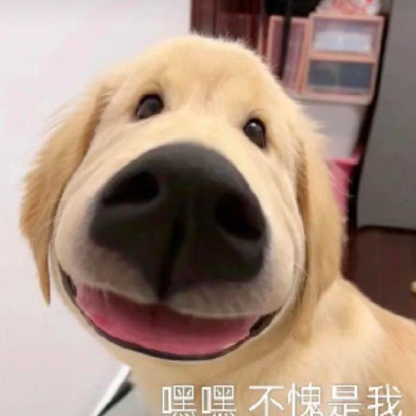 感谢你曾经来过、