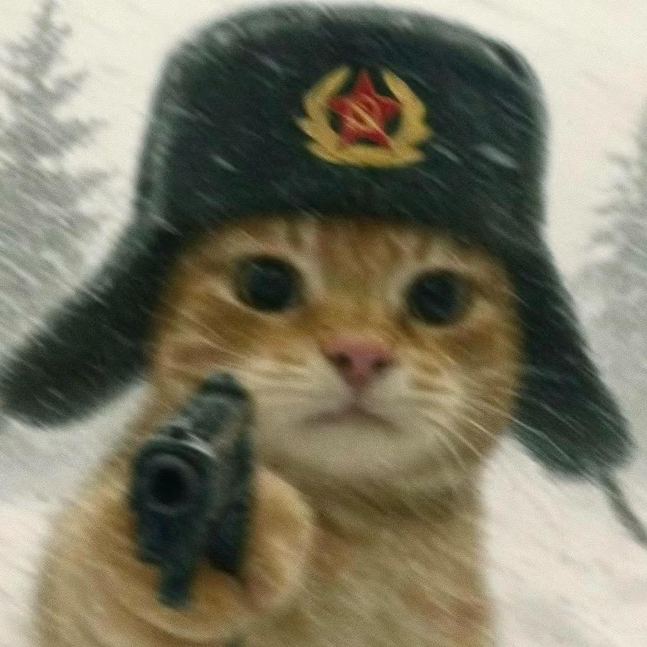 00后宠物指南
