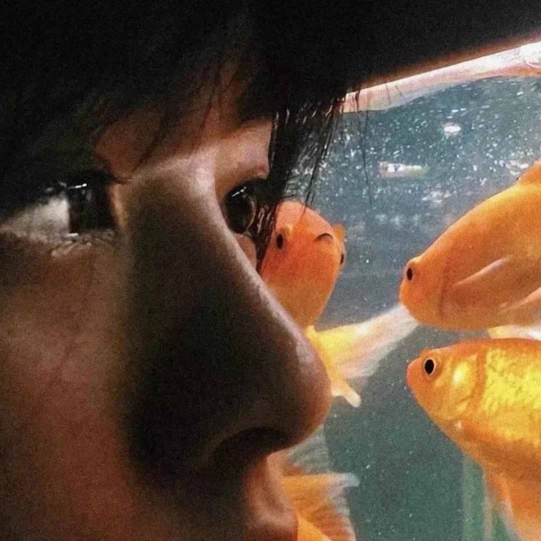 姚儿