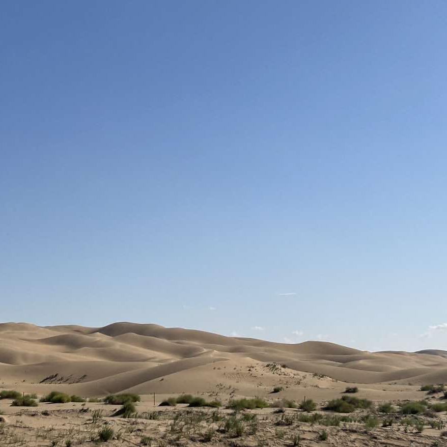 神木数学规划师