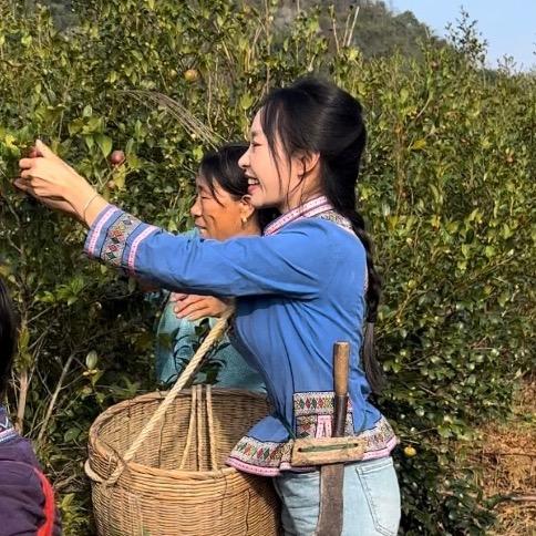瑶湘山茶油