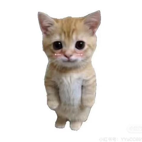 一口锅子guo