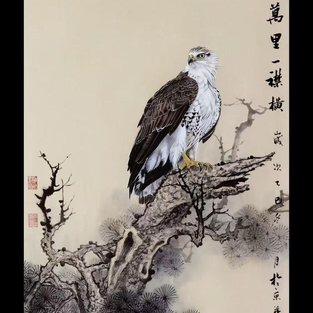 墨雨书画