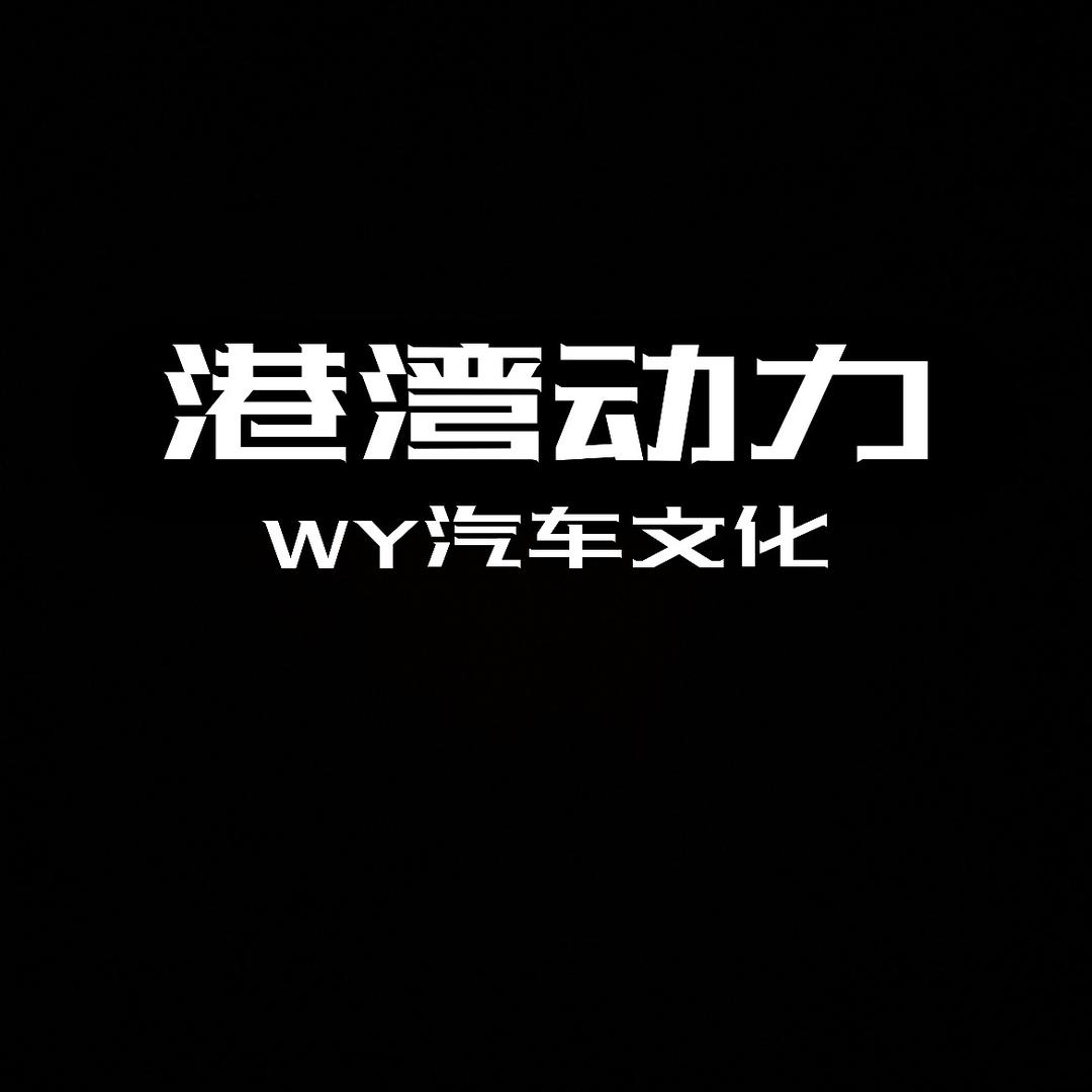 重庆维斯塔车膜工厂店