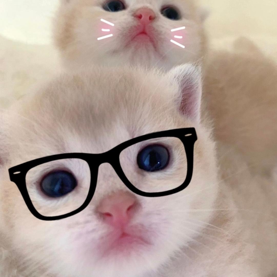 安