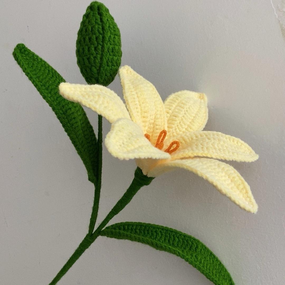 芸豆