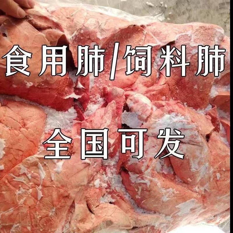 猪肺猪肝牛肝（饲料食用）
