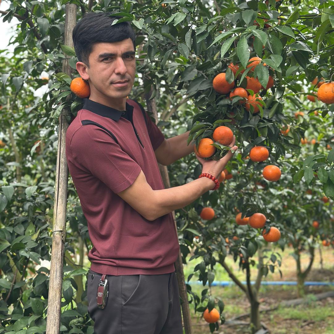 新疆 少爷 出口 果业