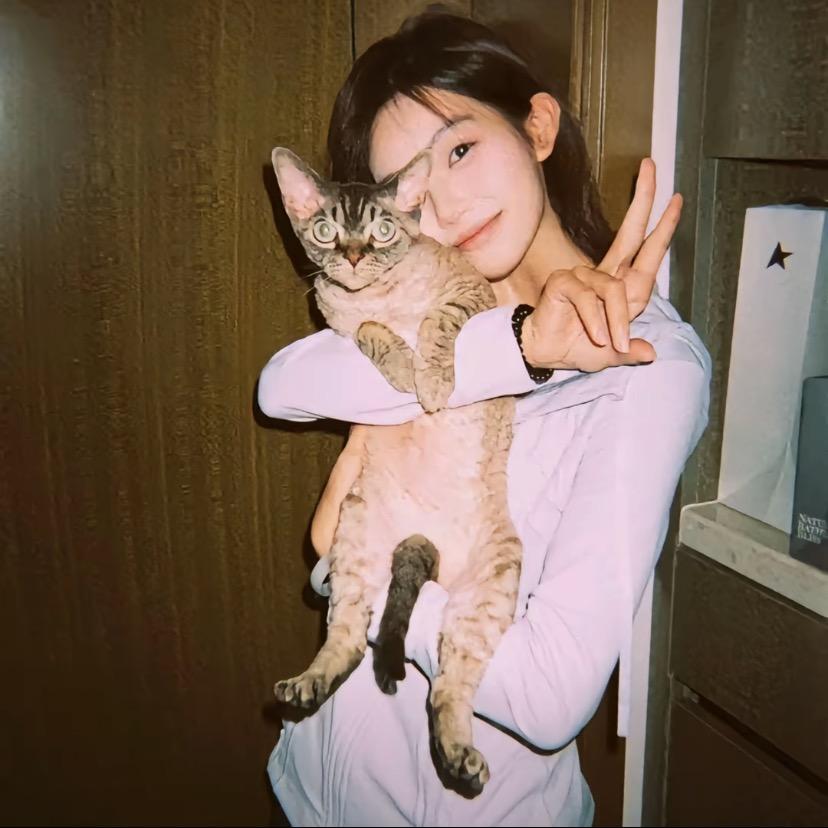 咬一口桂圆饼🐾