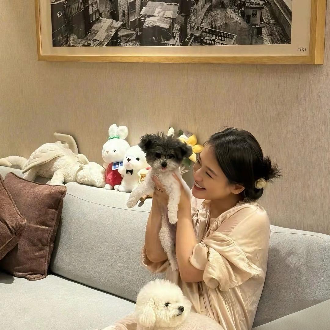 土豆不吃土豆泥🥔