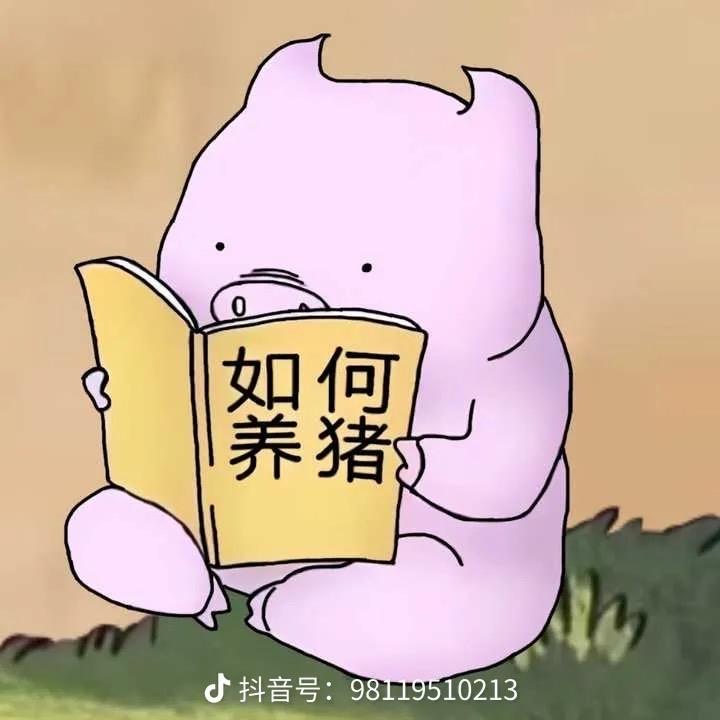 一只小胖猪