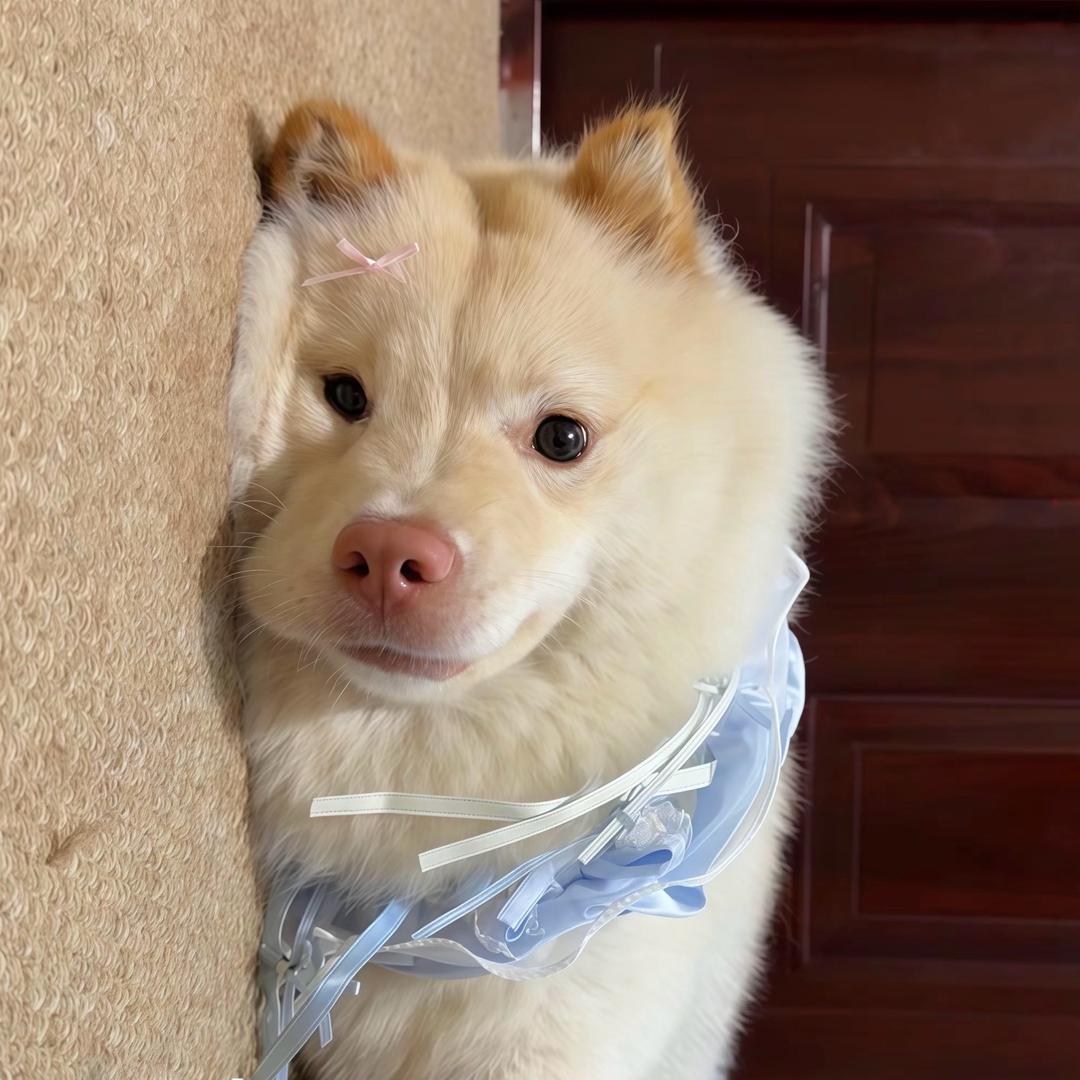 平安是福..
