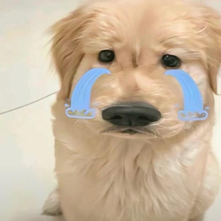 忧郁小喵挞TvT